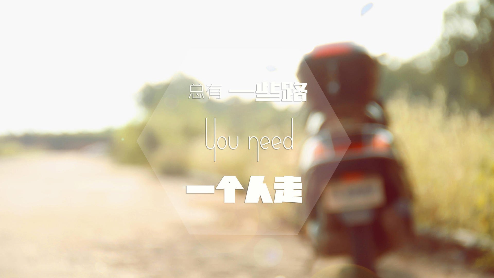 孤星难耀夜空，伦纳德狂砍42分难救主，黄蜂团队篮球上演惊天爆冷