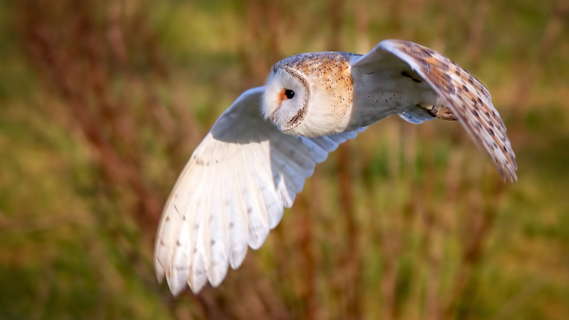 老兵不死，38岁的保罗用一场胜负之外的胜利，守住最后尊严