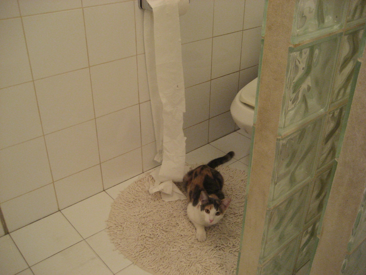 东决关键战之夜，文班亚马的压制级发挥，改写系列赛格局