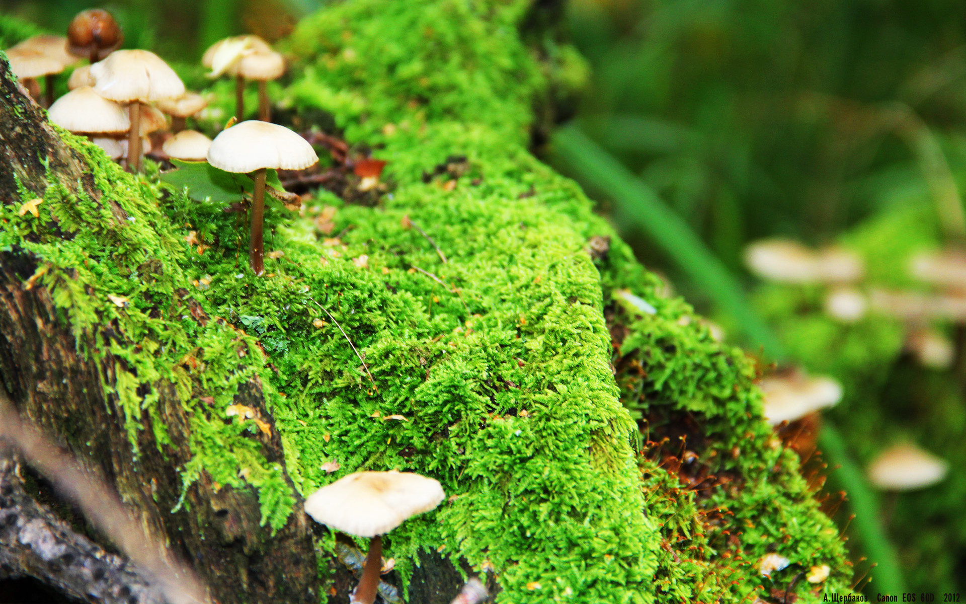 超长补时与加时赛，韧性与荣耀的交织竞技场