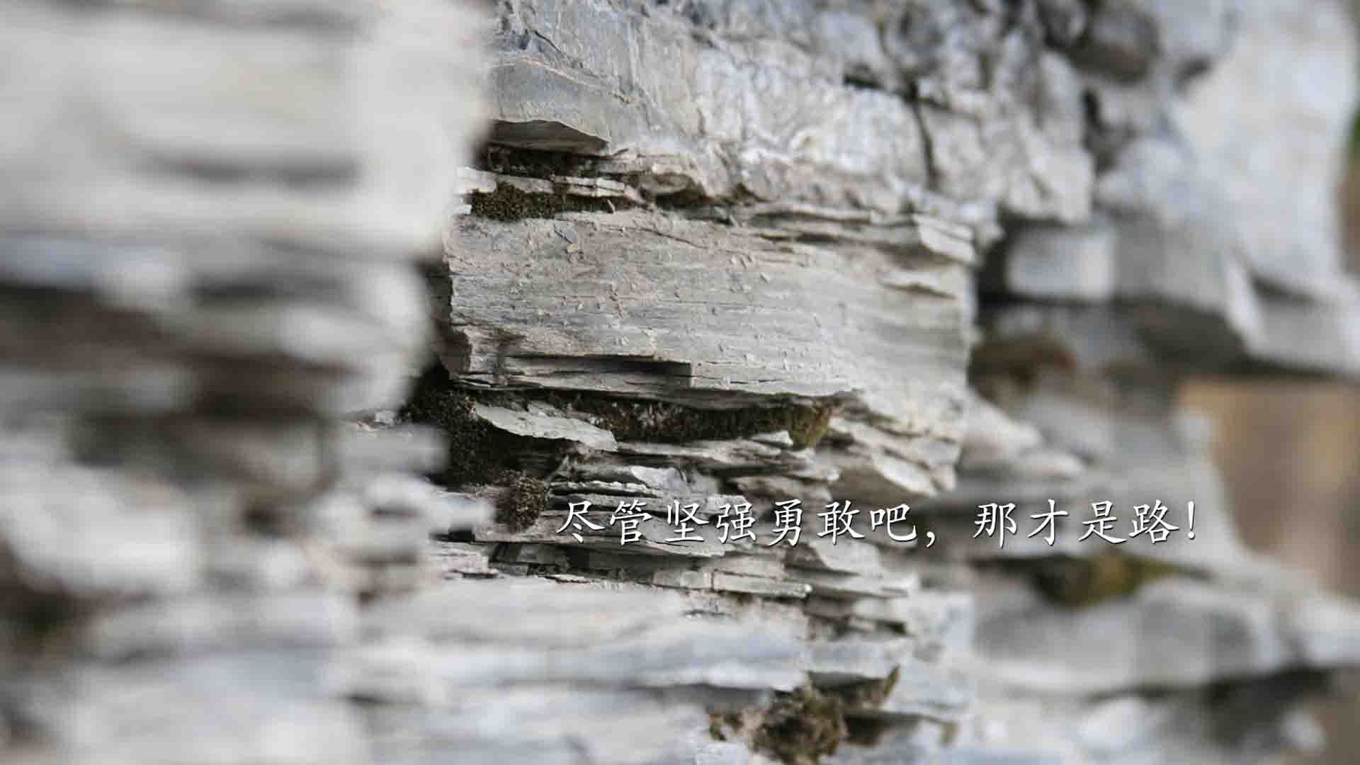 红魔风暴席卷法兰西，2026世界杯揭幕战，齐耶赫化身蓝月亮，比利时6-1横扫高卢雄鸡