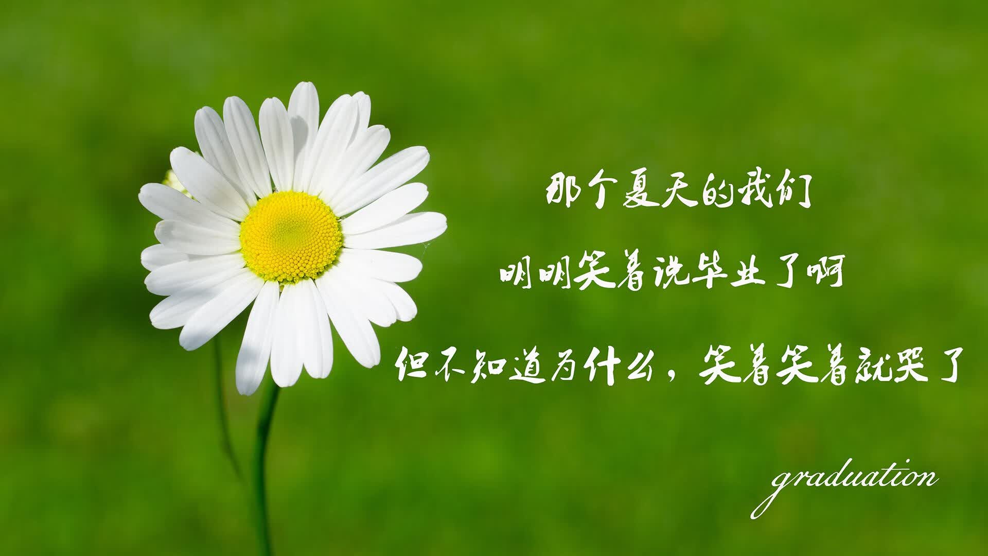 彗星撞击,加维点燃F组死亡之组,匈牙利以一剑封喉书写新传奇