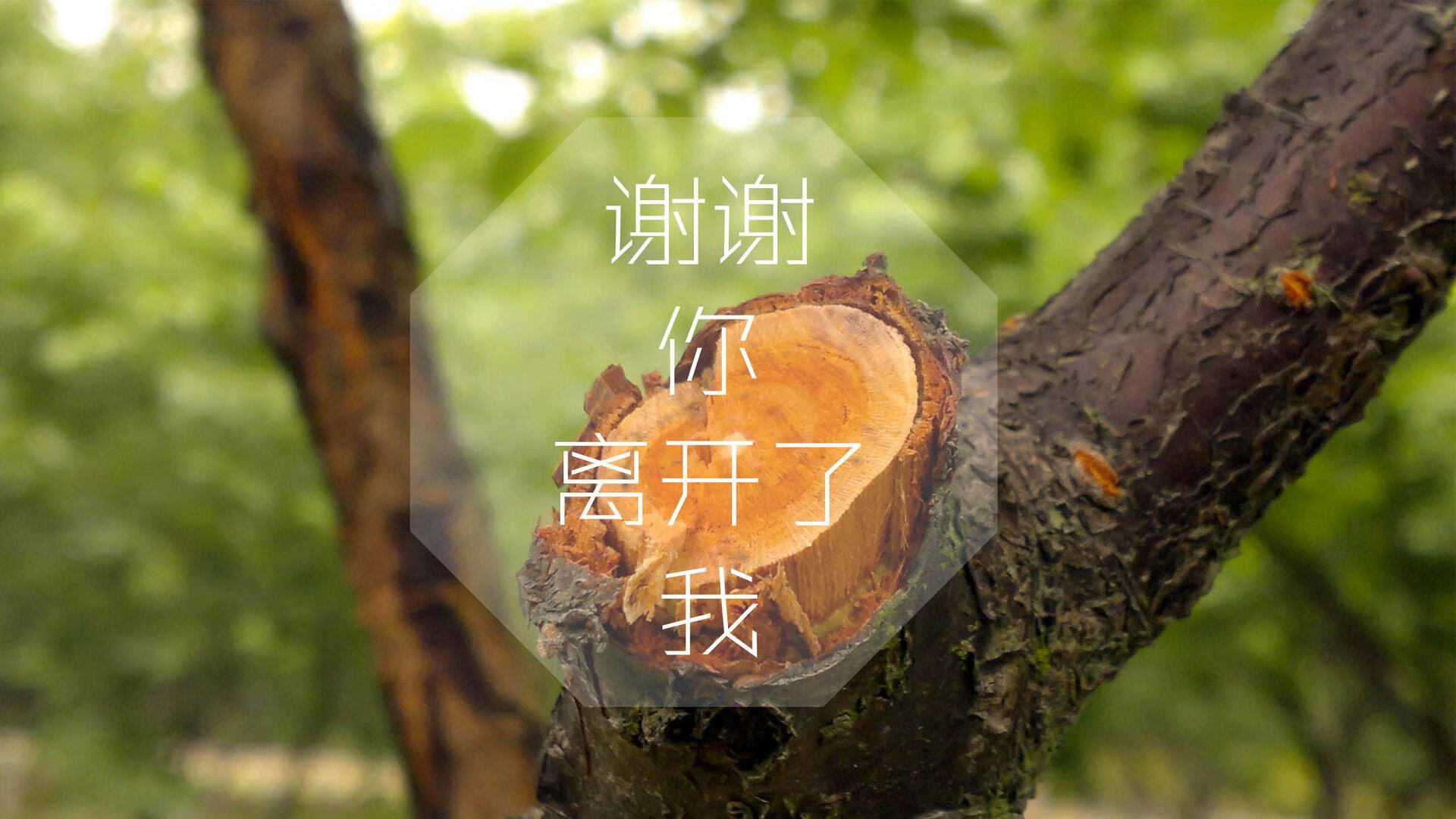 蓝衣悲歌,高卢奇迹,那个被命运归化的9号,在2026世界杯H组写下了最违和也最致命的剧本